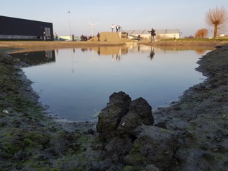 De pioniersvegetatie begint al te groeien tijdens de opening van het Biodiversum